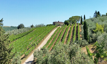 Chianti Altiero Winery SWT 375p