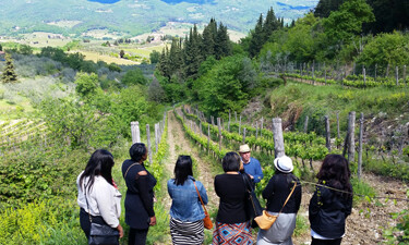 A Tuscany wine tour from Florence