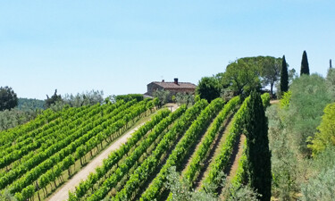 A winery in Tuscany