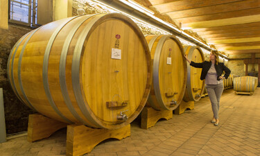 Tuscan winery Monterinaldi 05
