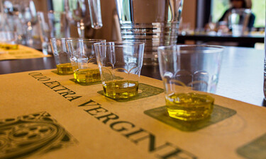 Tasting of Tuscany olive oil by the glass