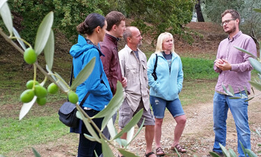 Tuscany Olive Oil 14