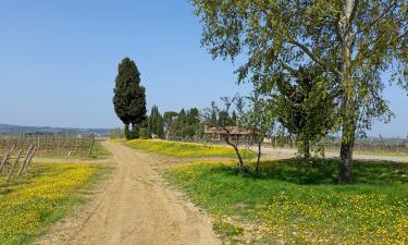 Chianti Tignanello April 2018 1600x900 A Tuscan scene in April