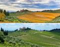 Summer & autumn scenes in Tuscany