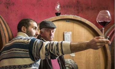 Examining Wine