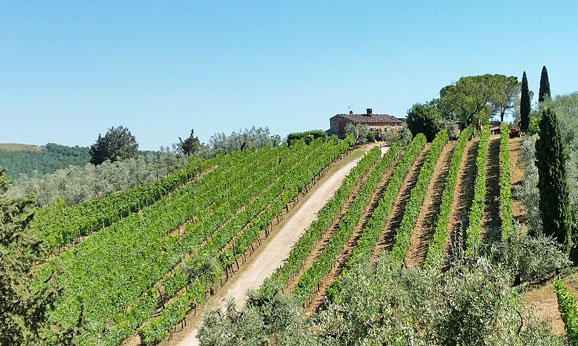 taking photos during Sergio's private wine tour Florence