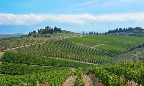 A scenic photo session during a private wine tour Florence