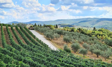 Gagliole-Conca-d'Oro panorama