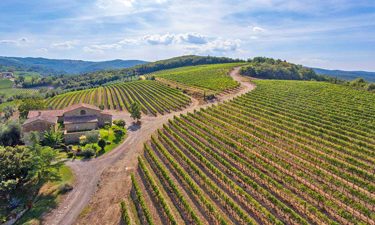 Brunello Montalcino Capanna winery in Tuscany