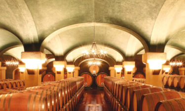 Caparzo Winery Tuscany the cellars