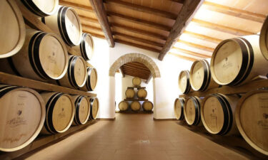 Barrels in a Tuscan winery