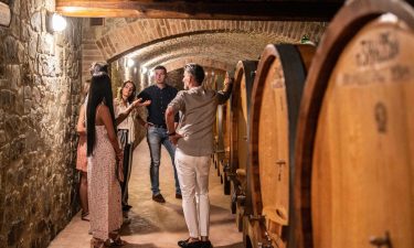 Cellar visit during a private Tuscany wine tour with Sergio.