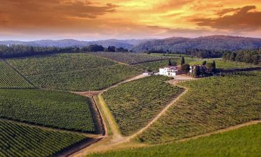 Casa Emma winery in Tuscany