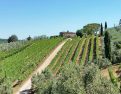 Altiero winery in Chianti Tuscany