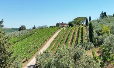 Altiero winery in Chianti Tuscany