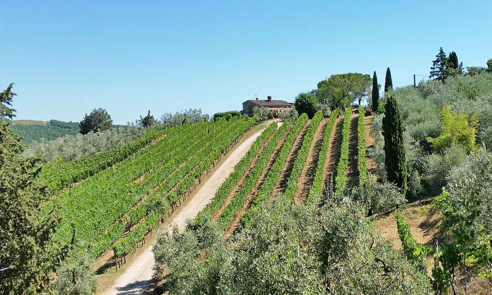 Altiero winery in Chianti Tuscany