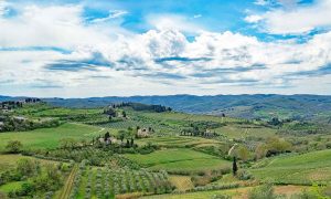 Visiting the Golden Valley at Panzano on one of Sergio's private Tuscany wine tours