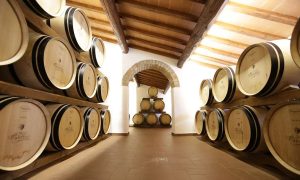 The cellars at Carobbio winery Tuscany