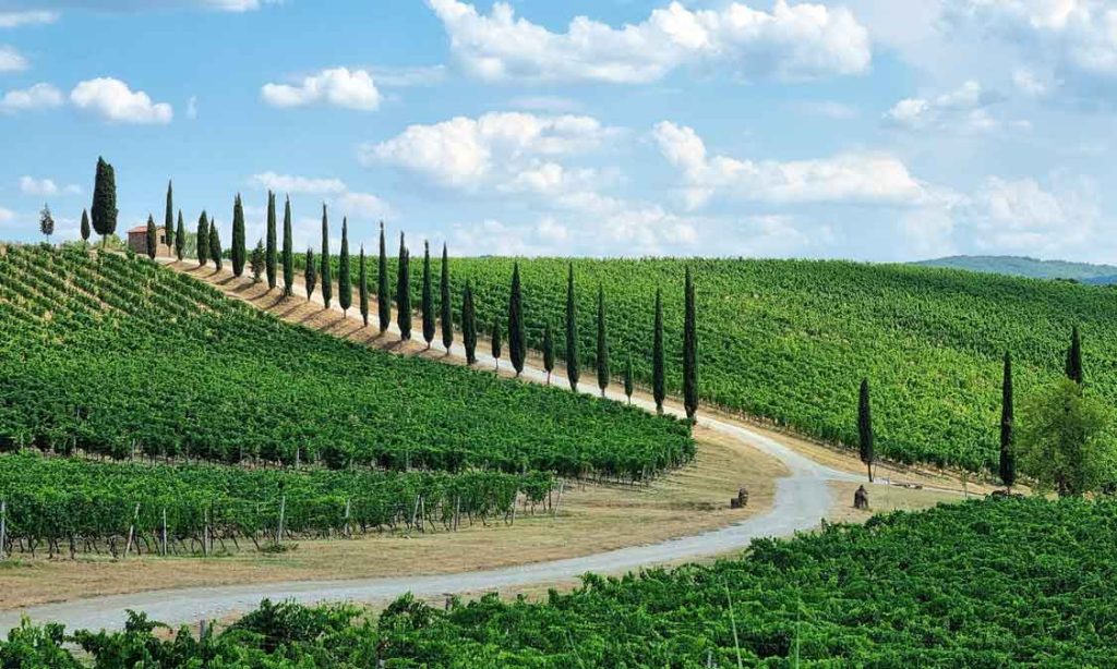 Scenery in Tuscany