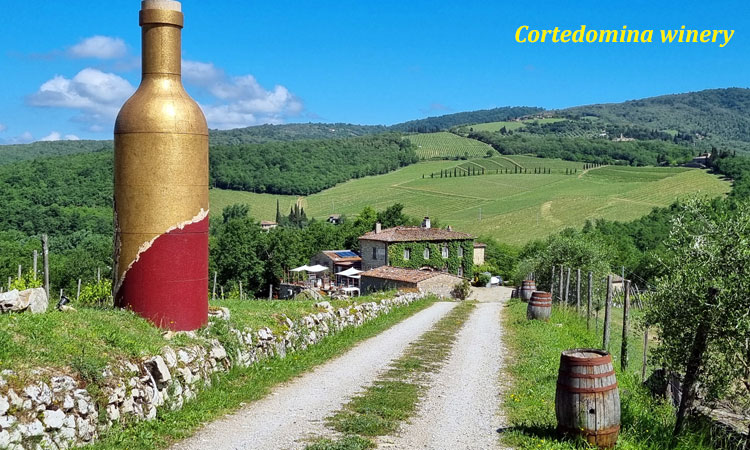 Cortedomina winery in Tuscany