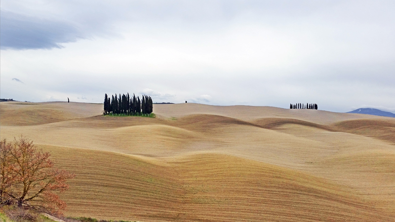 Tours in Tuscany